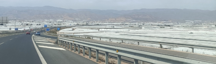 Are Almería’s Tomatoes Really Green