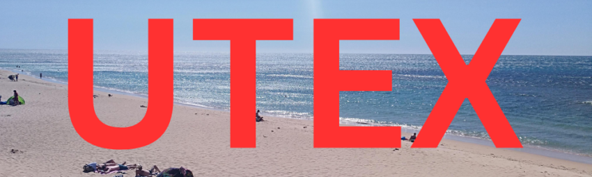 The Role of UTEX in Modernizing Spanish Immigration Services